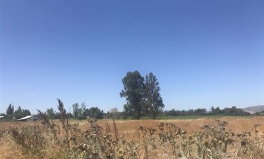 Sitio en venta en Melipilla