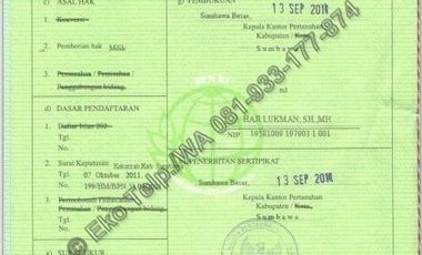 Tanah Cantik Tepi Pantai Pasir Putih Pulau Moyo View Sunsite