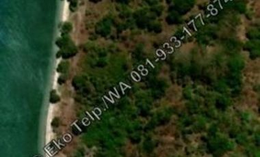 Tanah Cantik Tepi Pantai Pasir Putih Pulau Moyo View Sunsite