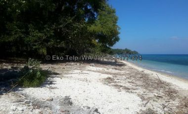Tanah Cantik Tepi Pantai Pasir Putih Pulau Moyo View Sunsite