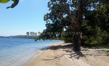 Tanah Cantik Tepi Pantai Pasir Putih Pulau Moyo View Sunsite