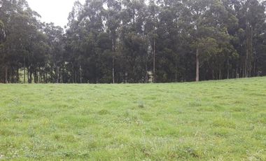 VENTA- TERRENO IDEAL-PROYECTOS INMOBILIARIOS-GUARANDA-SECTOR NORTE NEGROYACO-URBEC-22URB018