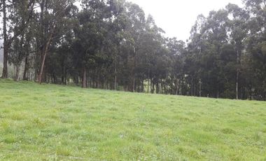 VENTA- TERRENO IDEAL-PROYECTOS INMOBILIARIOS-GUARANDA-SECTOR NORTE NEGROYACO-URBEC-22URB018