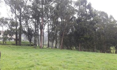 VENTA- TERRENO IDEAL-PROYECTOS INMOBILIARIOS-GUARANDA-SECTOR NORTE NEGROYACO-URBEC-22URB018