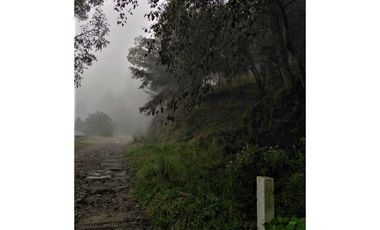 VENTA HERMOSO terreno en el bosque cerca de Mineral del Chico $700 el m2