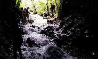 VENTA HERMOSO terreno en el bosque cerca de Mineral del Chico $700 el m2