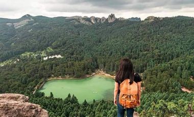 VENTA HERMOSO terreno en el bosque cerca de Mineral del Chico $700 el m2