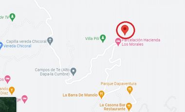 FINCA EN DAPA EN BOSQUE DE NIEBLA