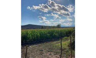 HACIENDA LOS ROBLES COINCO