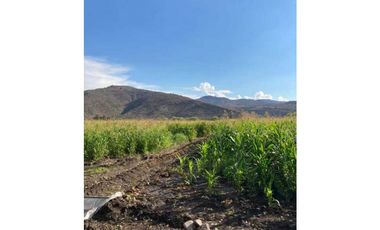 HACIENDA LOS ROBLES COINCO