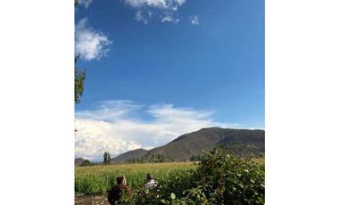 HACIENDA LOS ROBLES COINCO