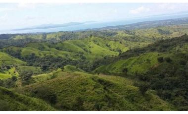 VENDO 300 HECTAREAS EN TEBARIO, VERAGUAS
