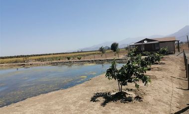 Casa en venta Codegua 120 m2 en Parcela de 5.017 m2