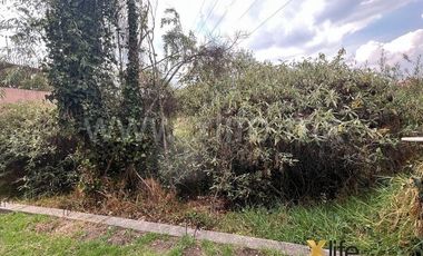 VENTA CASA PARA REMODELAR,  LOMAS DE LA HERRADURA