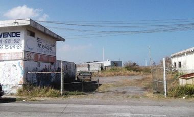 Terreno en renta en el centro de veracruz a pasos de icave | arlette flores