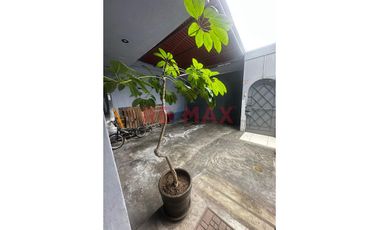 🏡 Casa En Venta – Urb. La Merced, Ate Vitarte