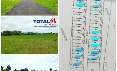 Dijual Tanah Kavling Murah Meriah di Nyitdah, Tabanan.