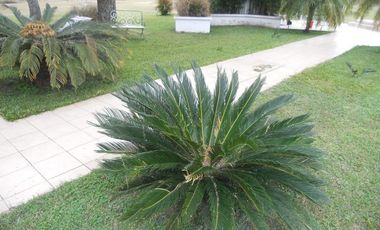 Casa - San Luis Del Palmar
