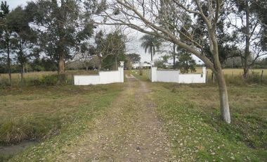 Casa - San Luis Del Palmar