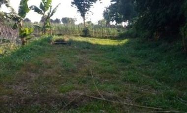 1,82 Ha Tanah Strategis Komersil Mainroad Cisarua Untuk Villa & Wisata, Bandung Barat