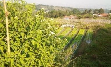 1,82 Ha Tanah Strategis Komersil Mainroad Cisarua Untuk Villa & Wisata, Bandung Barat