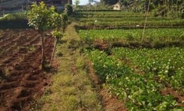 1,82 Ha Tanah Strategis Komersil Mainroad Cisarua Untuk Villa & Wisata, Bandung Barat