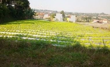 1,82 Ha Tanah Strategis Komersil Mainroad Cisarua Untuk Villa & Wisata, Bandung Barat