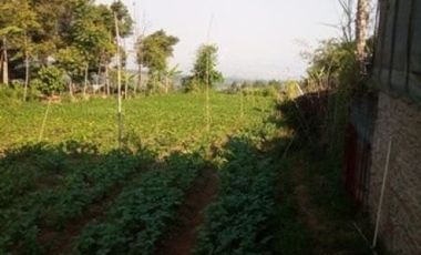 1,82 Ha Tanah Strategis Komersil Mainroad Cisarua Untuk Villa & Wisata, Bandung Barat