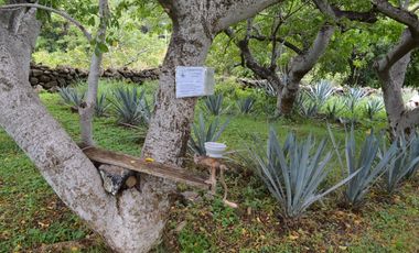 Casa de Campo en Teuchitlán, Jalisco