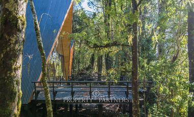 Casa en el bosque Huilo Huilo