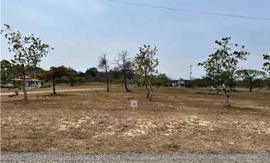 Se VENDE Lote de Terreno en Palmera del Golf, Coronado