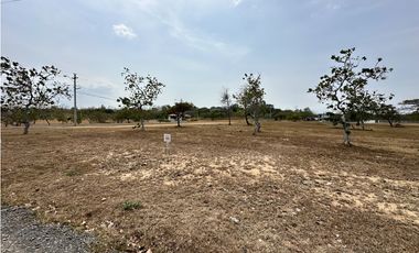 Se VENDE Lote de Terreno en Palmera del Golf, Coronado
