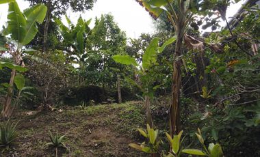 CASA LOTE EN VENTA EN VILLAMARIA- CALDAS