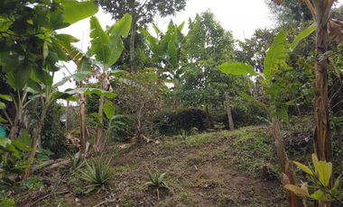 CASA LOTE EN VENTA EN VILLAMARIA- CALDAS