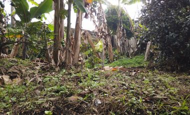 CASA LOTE EN VENTA EN VILLAMARIA- CALDAS