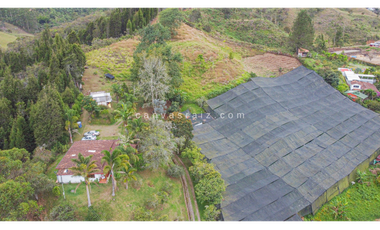 Venta de Finca de Uso Mixto Vereda Hojas Anchas