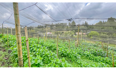 Venta de Finca de Uso Mixto Vereda Hojas Anchas