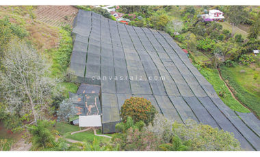 Venta de Finca de Uso Mixto Vereda Hojas Anchas