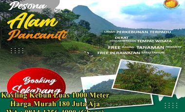 Kavling Kebun Pesona Alam Pancaniti luas 1000 M2 harga 180Jt