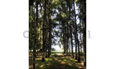 Espectacular terreno 8,6 Ha con 2 casas Los Riscos