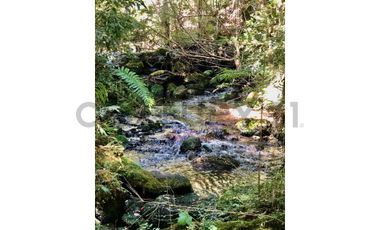 Espectacular terreno 8,6 Ha con 2 casas Los Riscos