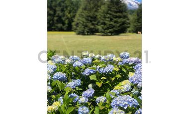 Espectacular terreno 8,6 Ha con 2 casas Los Riscos