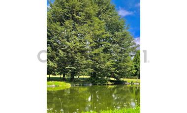 Espectacular terreno 8,6 Ha con 2 casas Los Riscos