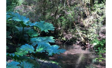 Espectacular terreno 8,6 Ha con 2 casas Los Riscos