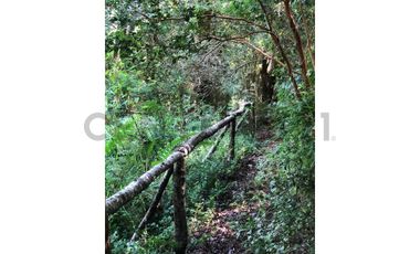 Espectacular terreno 8,6 Ha con 2 casas Los Riscos