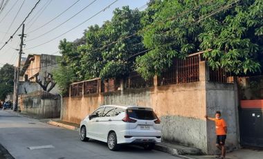 For sale Commercial/Residential lot in Dumalay Novaliches, Quezon City