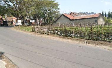 Dijual tanah 1736 m Lokasi strategis dekat taman wisata Begonia Lembang Bandung