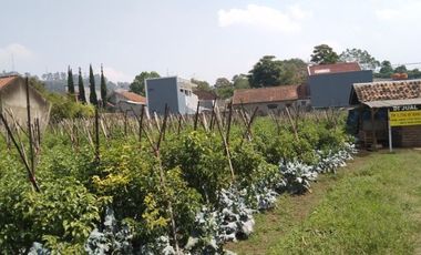 Dijual tanah 1736 m Lokasi strategis dekat taman wisata Begonia Lembang Bandung