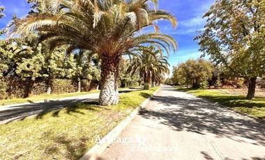 Sitio Condominio Camino El Algarrobo