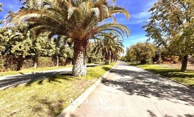 Sitio Condominio Camino El Algarrobo